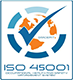 ISO 45001